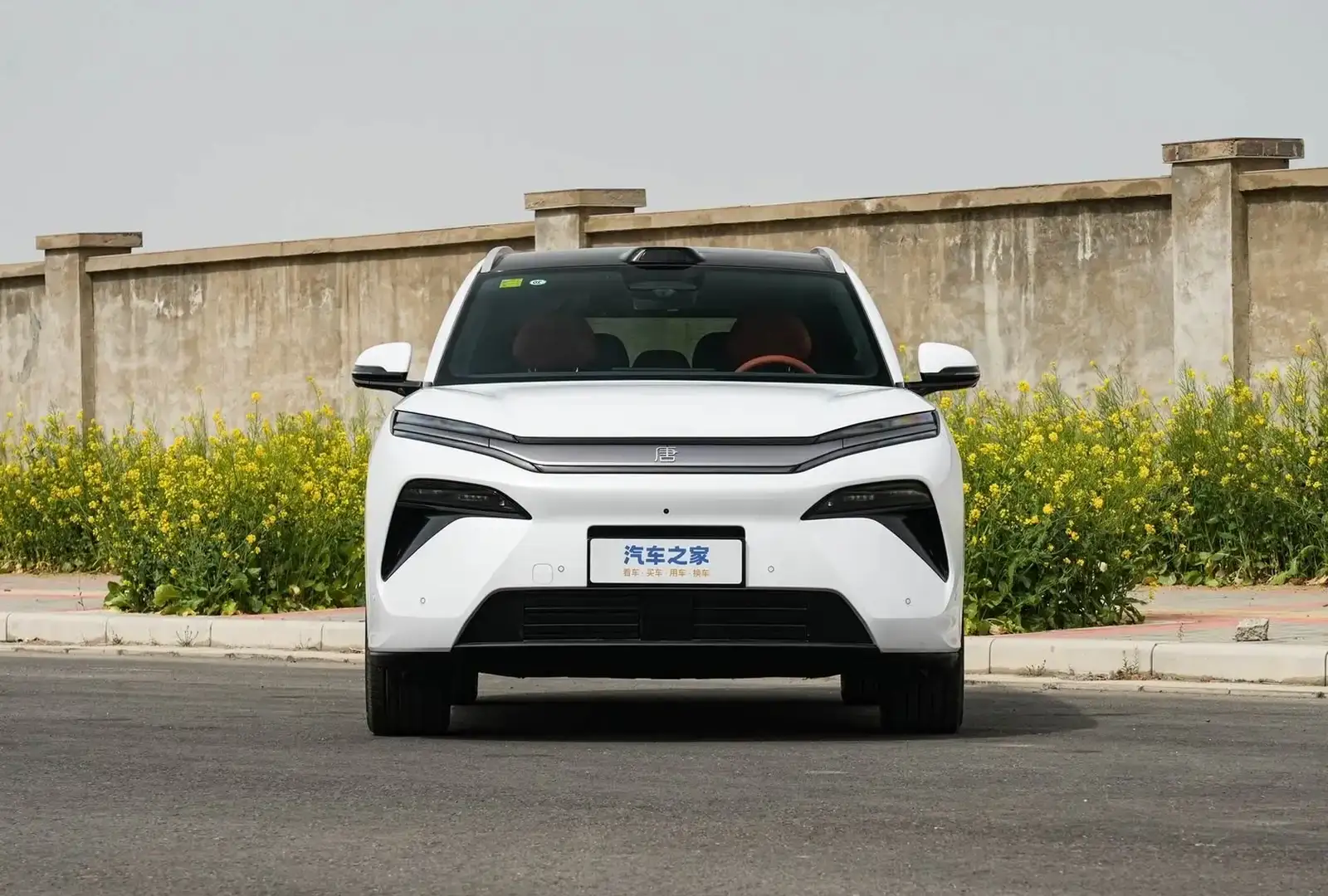 BYD Tang,