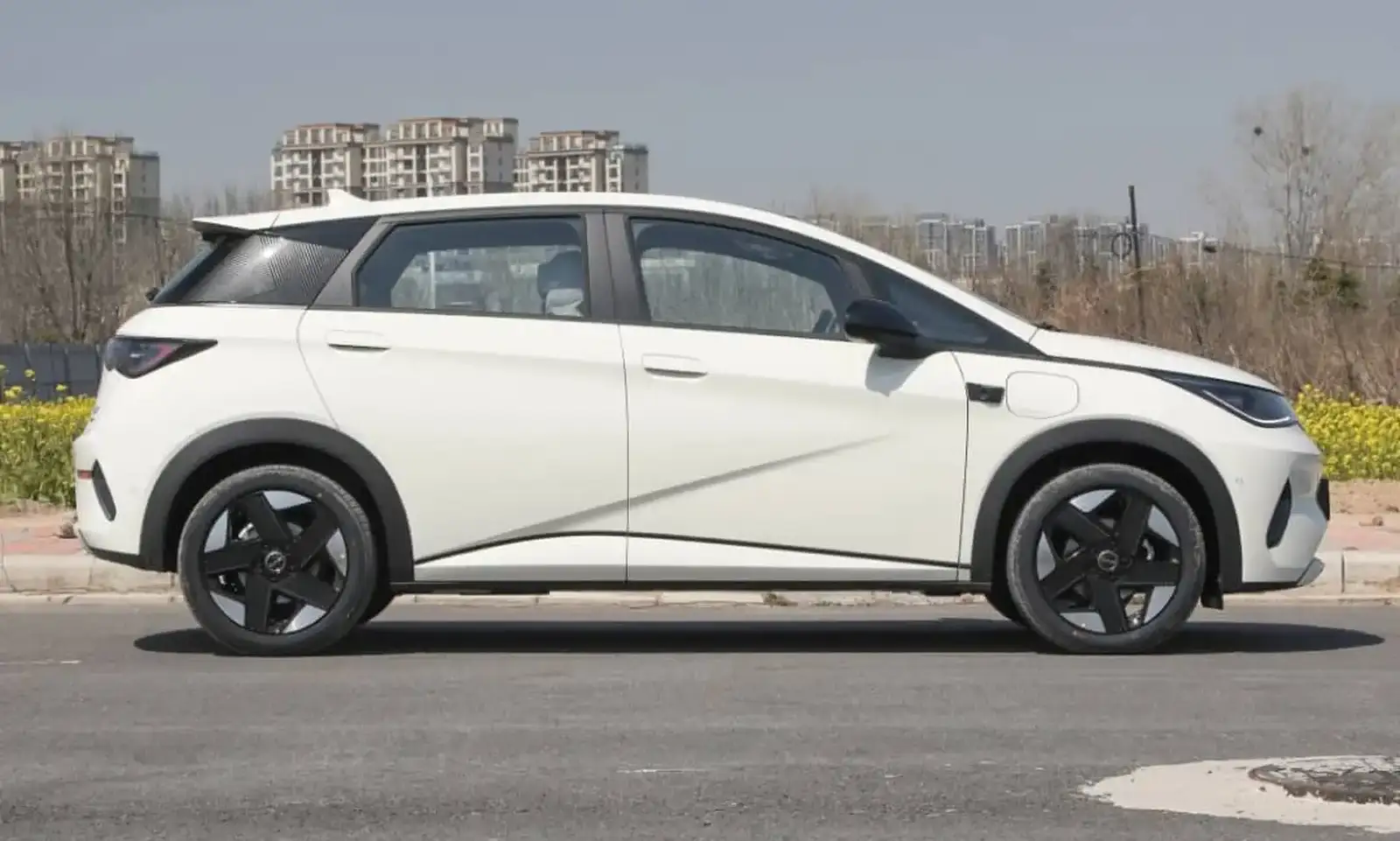 BYD Dolphin,