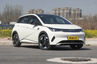 BYD Dolphin, 2025 — миниатюра 2