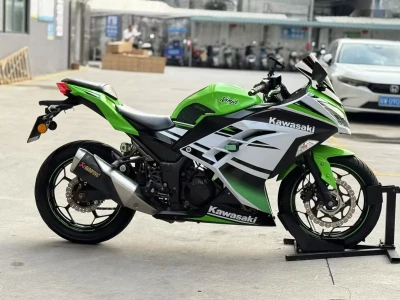Kawasaki 250 — миниатюра 3