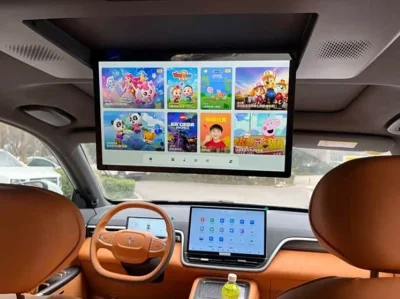 Dongfeng EP 008, 2025