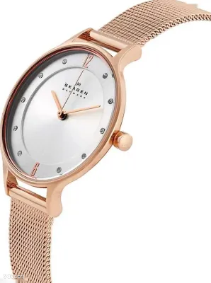 Часы Skagen SKW2151