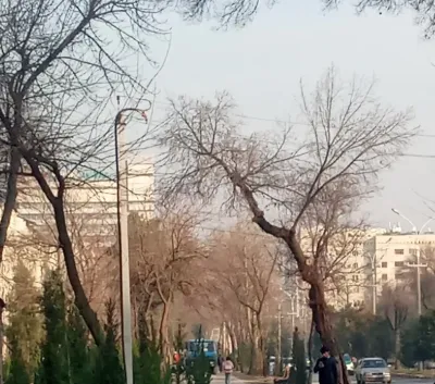 Помещение под магазин / салон, 69м², Донишгохи Тичорати