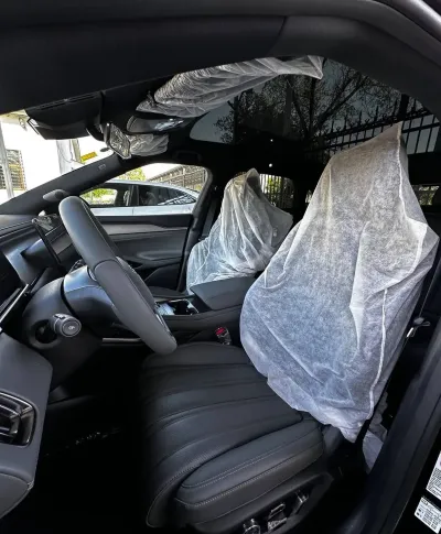 BYD Song L, 2025