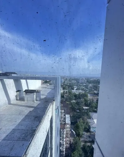 3-комн. квартира, 19 этаж, 84 м², Сино