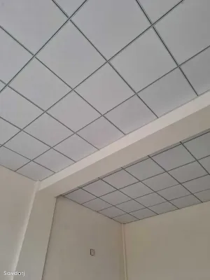 Амстронг иранский