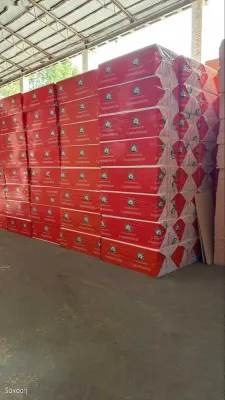 Пеноплэкс Точики