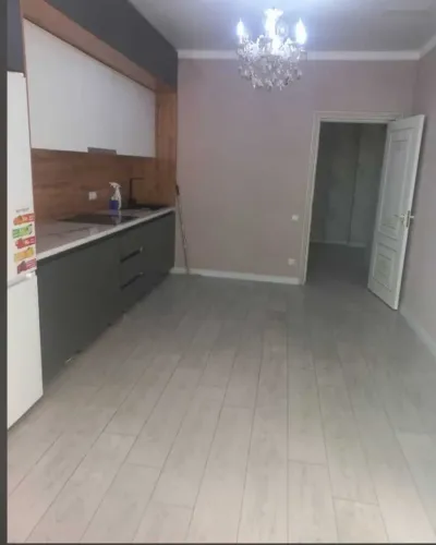 2-комн. квартира, 9 этаж, 77м², цирк