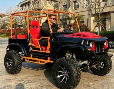 Багги на заказ — миниатюра 3