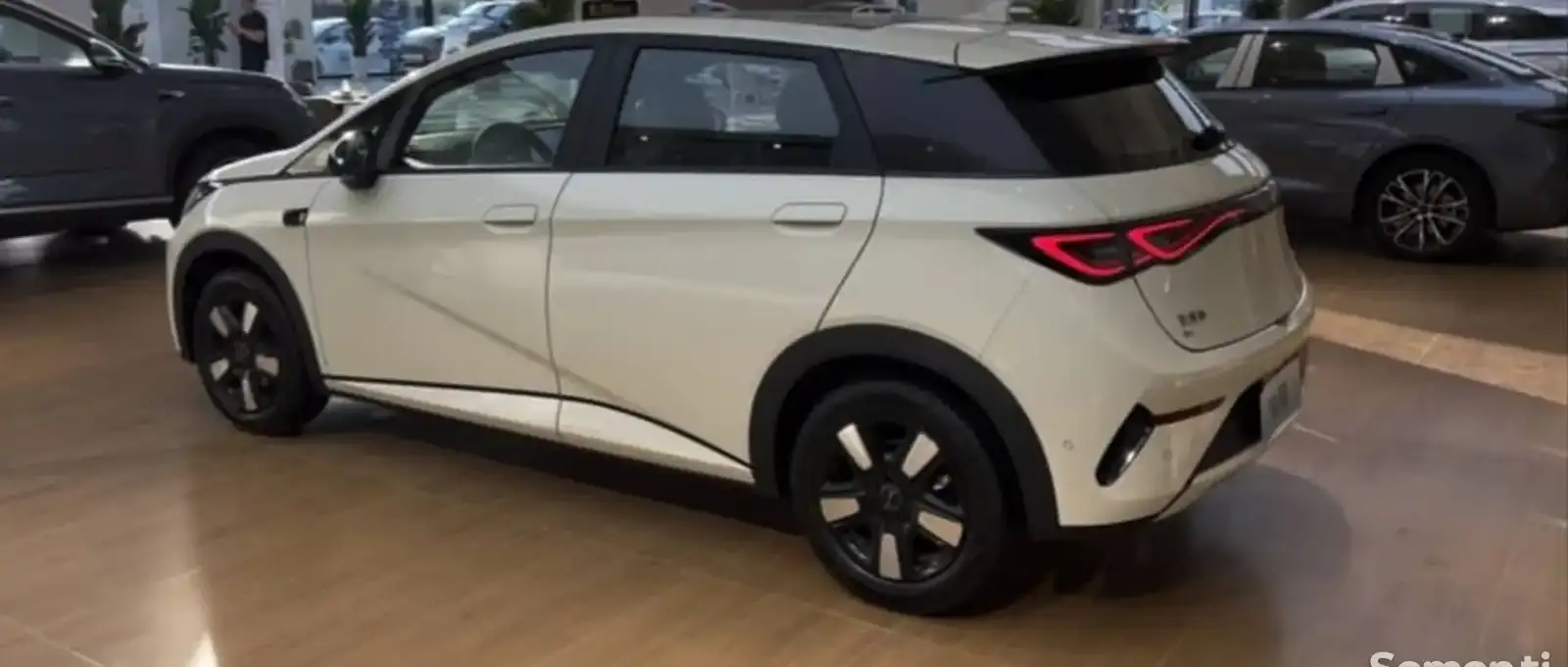 BYD Dolphin,