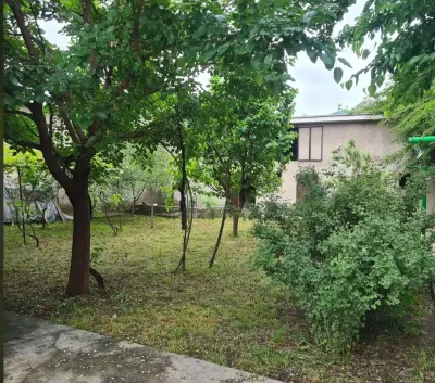 2-этажный, 11 комнатный дом, 1050 м², Фирдавси