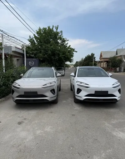 BYD Sea Lion 06, 2025