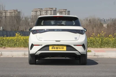 BYD Dolphin, 2025 — миниатюра 5