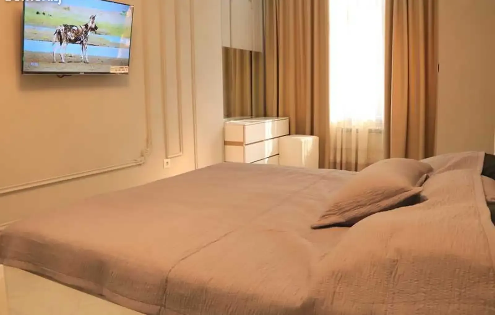 2-комн. квартира, 11 этаж, 84м², Созидание