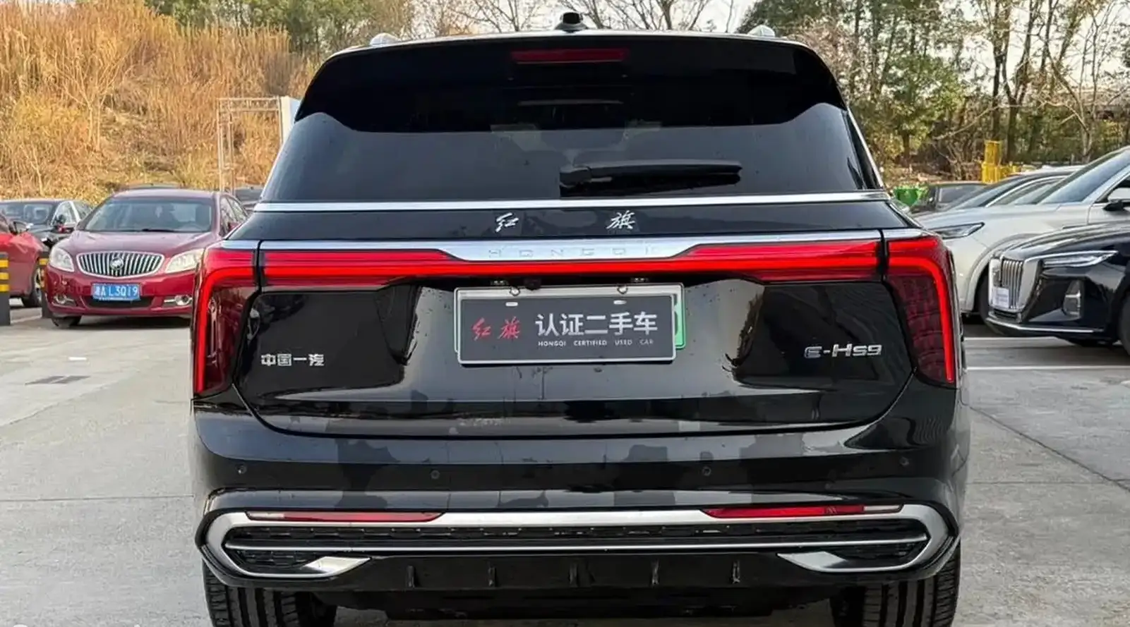 Hongqi E-HS9,