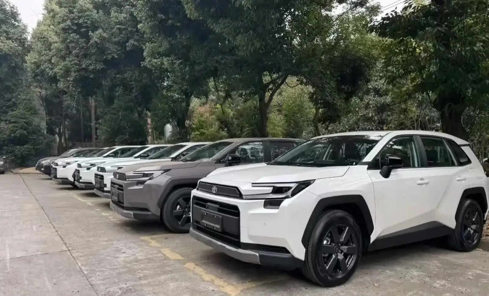 Toyota RAV 4,