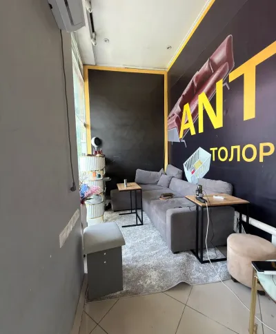 Помещение под магазин / салон, 2500м², Сино 33мкр