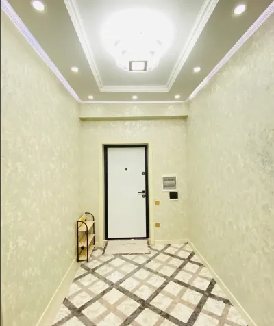 2-комн. квартира, 11 этаж, 65м², сино
