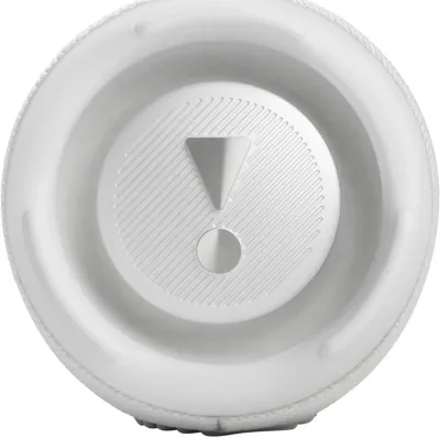 Портативная колонка JBL Charge5 Splashproof белый