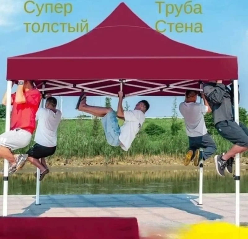 Зонтик садовый