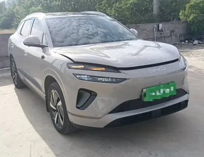 BYD Sea Lion 06, 2025