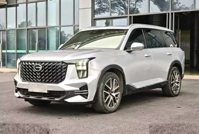 GAC Trumpchi GS8, 2021