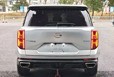 GAC Trumpchi GS8, 2021