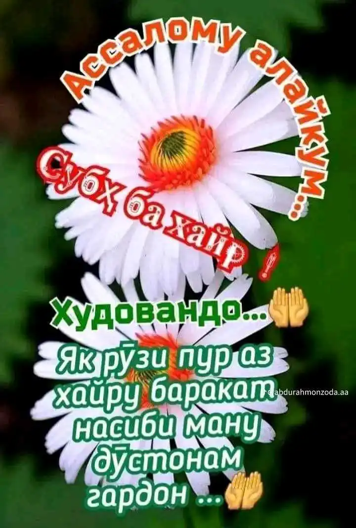 Саид