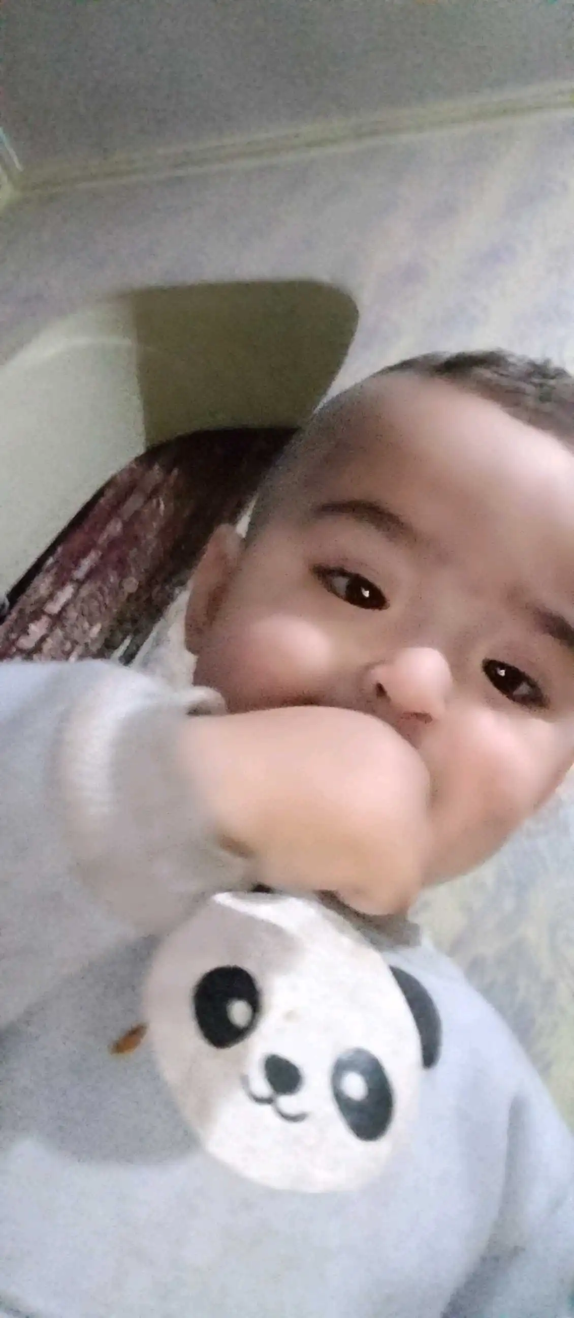 mahmud