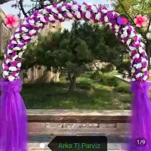 Пользователь