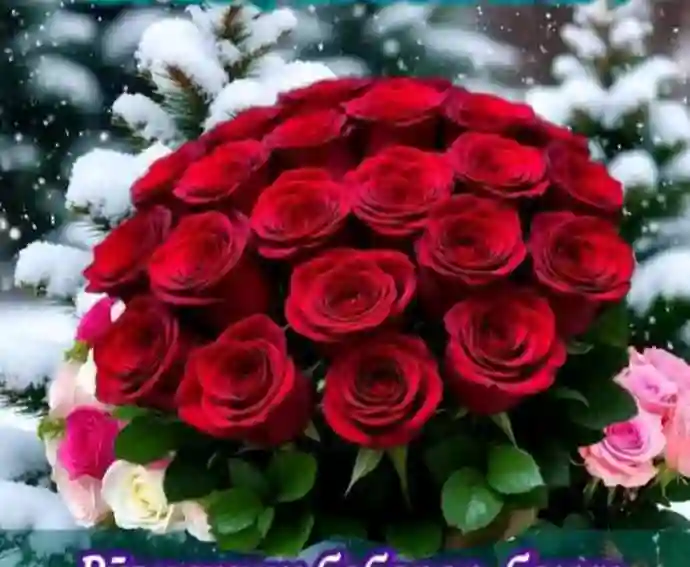 Апаи Миҷгона