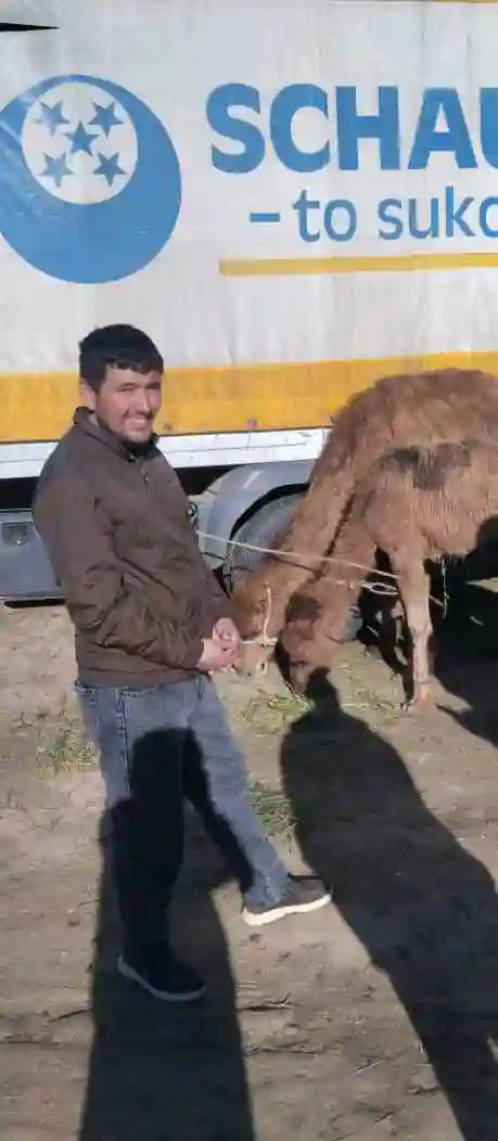 Пользователь