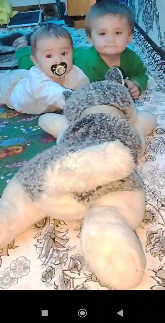 Пользователь