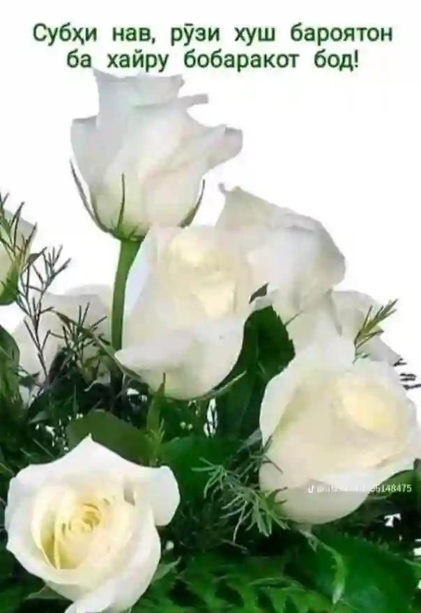 Пользователь