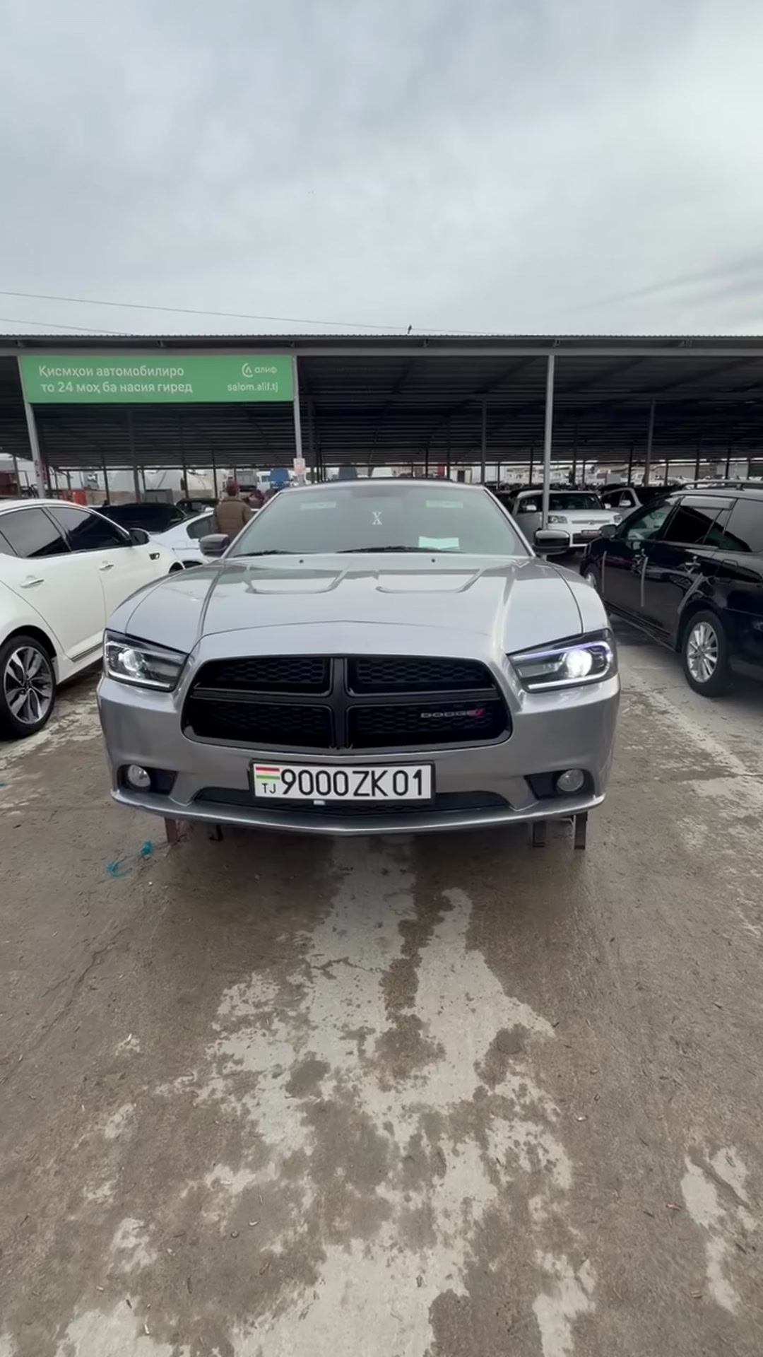 тел 994880002

115000сомон